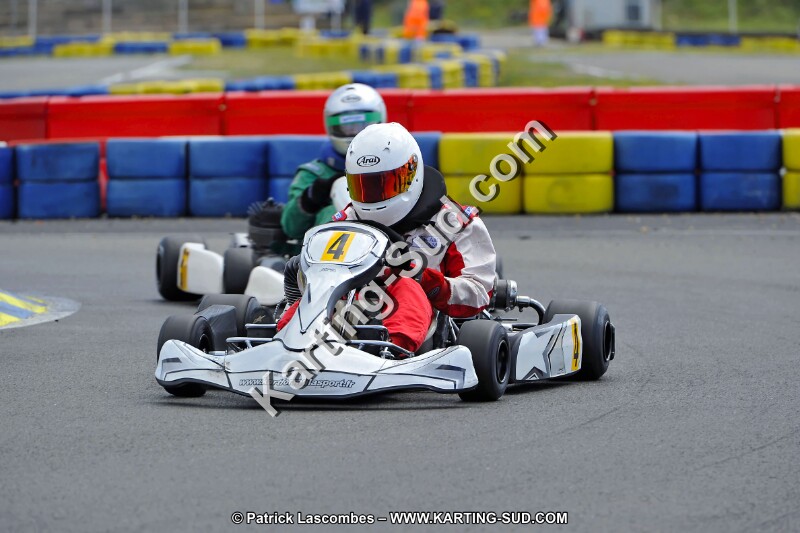 DSC_ (1531).jpg
